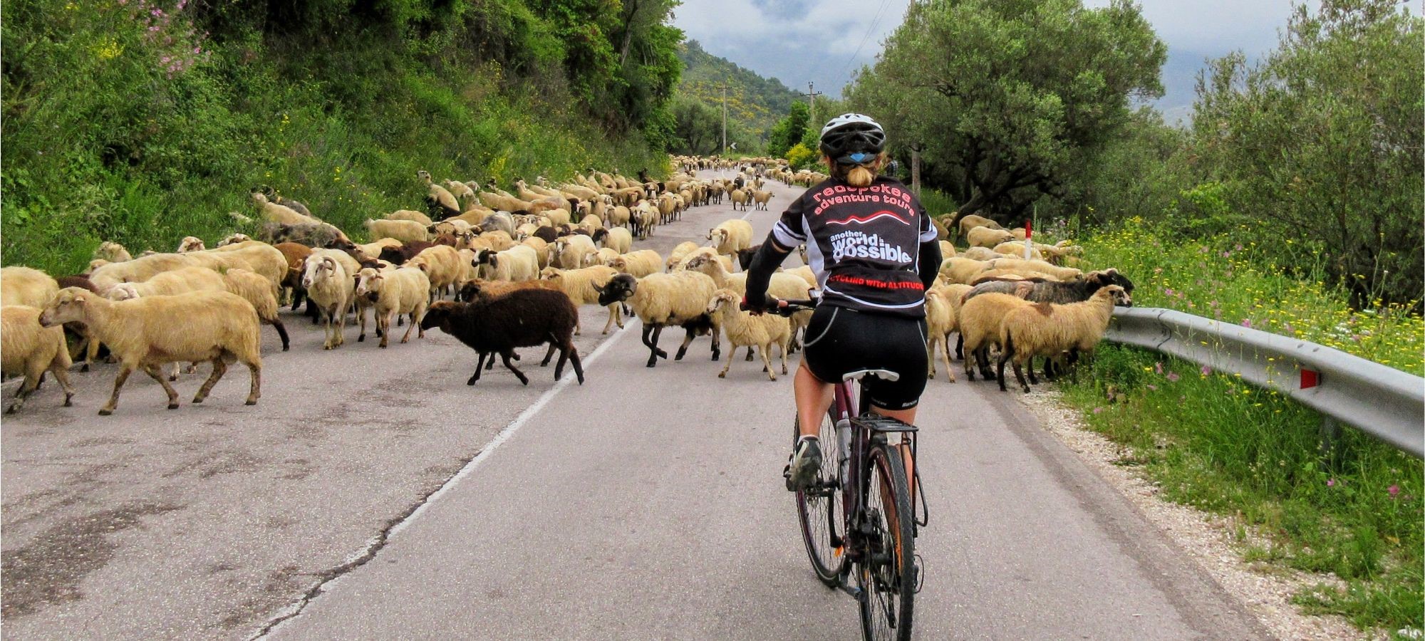Photos from our Albania - Classic Cycling Holiday